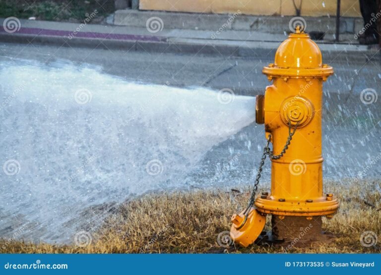 Es legal tirar agua a la calle y cuáles son las multas asociadas 8 Es legal tirar agua a la calle y cuáles son las multas asociadas