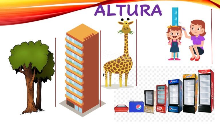 Qué debe ir primero en un diseño: altura o ancho 7 Qué debe ir primero en un diseño: altura o ancho