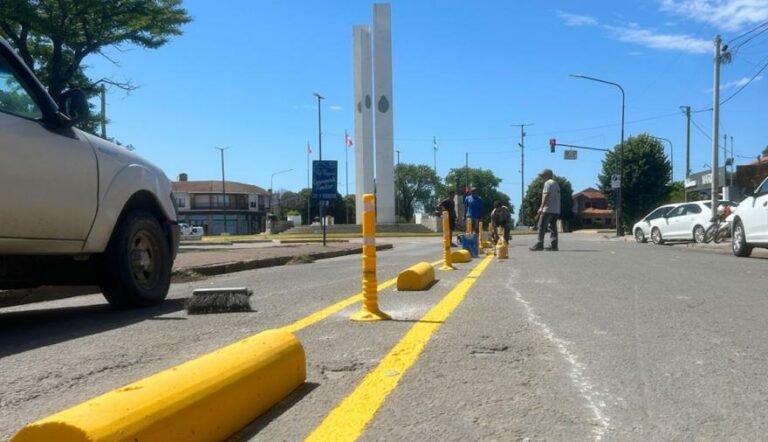 Qué nombre recibe la división en una avenida 7 Qué nombre recibe la división en una avenida