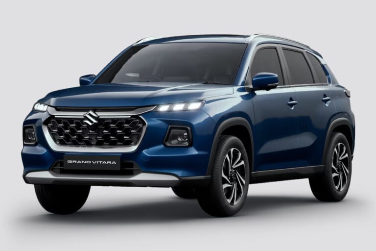 Qué bandeja para maletero es compatible con Suzuki Grand Vitara