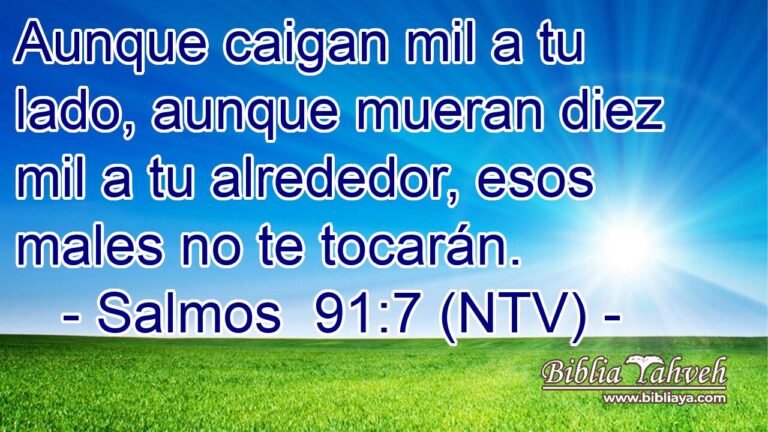 Qué significa "aunque mil veces caiga el justo" en la Biblia 8 Qué significa «aunque mil veces caiga el justo» en la Biblia