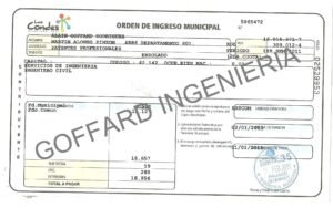 patente profesional 1