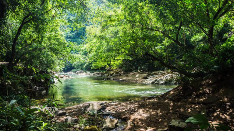 Qué tarifas y horarios tiene el peaje troncal Río Claro en Chile