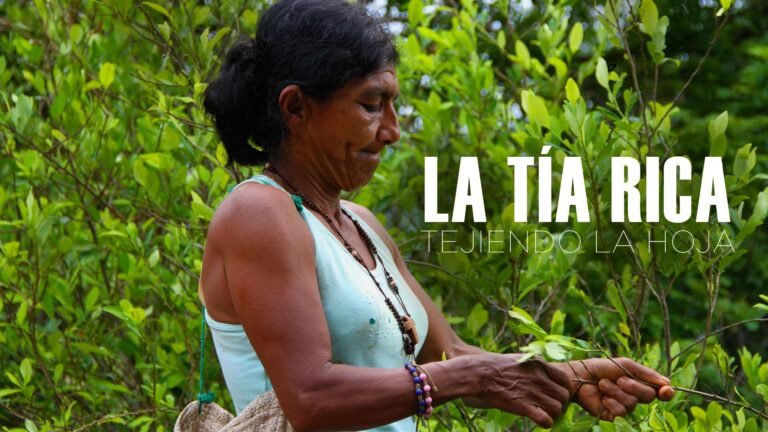 Cómo acceder al catálogo virtual de Tía Rica en línea