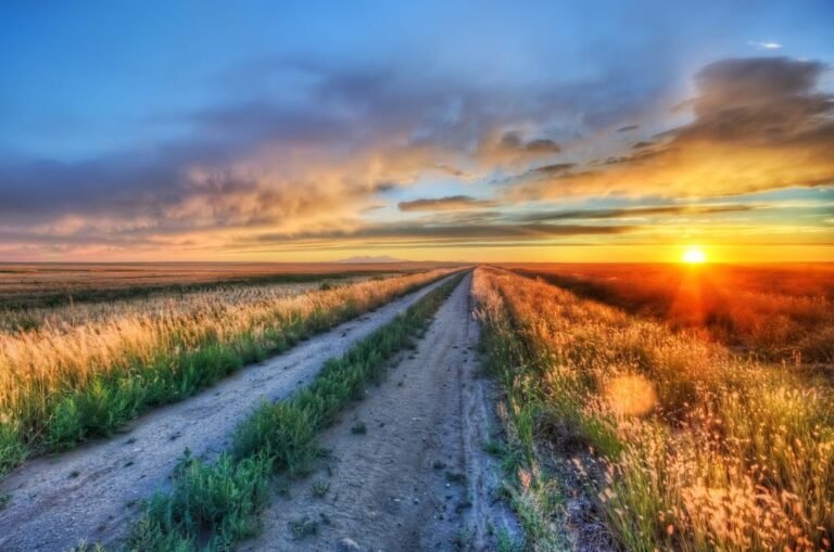 Qué nos enseña "Un camino a través del aire" en su resumen 8 Qué nos enseña «Un camino a través del aire» en su resumen