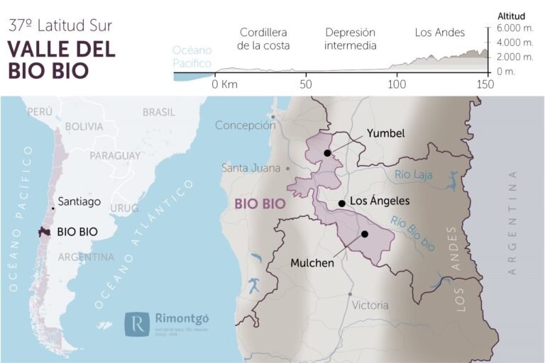 Cómo puedo pagar el TAG de Valles del Biobío fácilmente