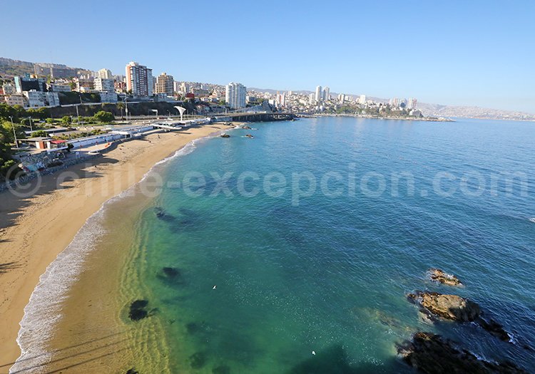 vina mar 6